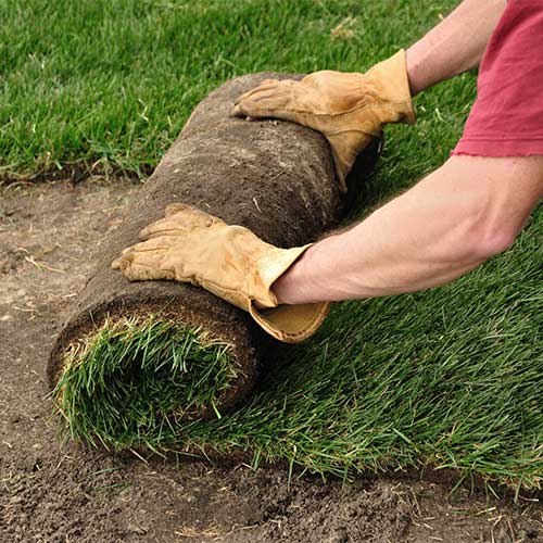 Sod Lawn Installation - Monaghan's Landscaping